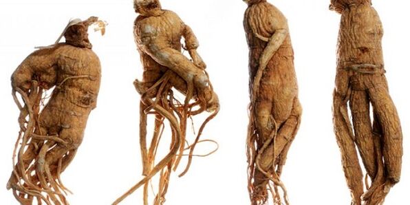 Ginseng -wortel om de penis te verhogen